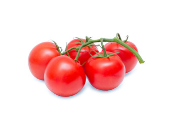 Tomatoes isolated on white background