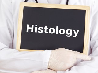 Doctor shows information on blackboard: histology