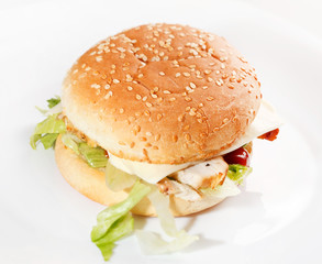 burger on the white