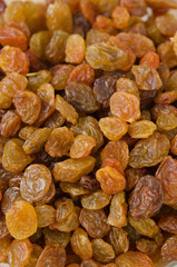 sultana raisins closeup, selective focus