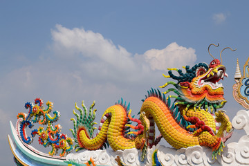 Fototapeta premium Dragons in sky