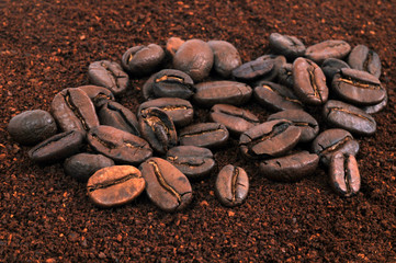 Café moulu et en grains