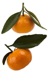 Tangerines