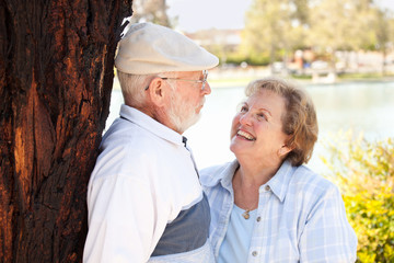 Happy Senior Couple in The Park
