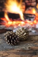 Fire in a fireplace with pine cones