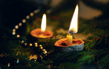 Two candles with coniferous sprigs