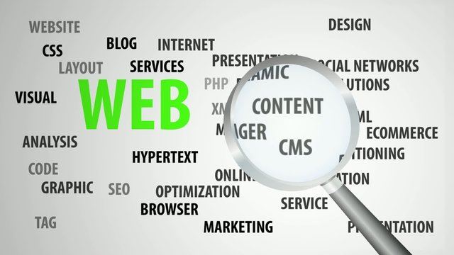 Magnifier passing over web and related keywords