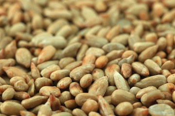 Sunflower seeds