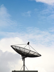 satellite dishes antenna