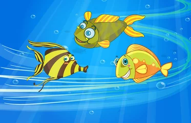 Rolgordijnen Onderwaterwereld Vis