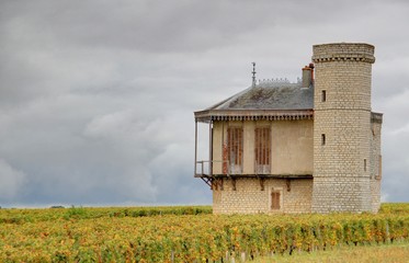 vignoble de bourgogne