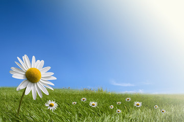 Green environment  concepts