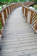 Obraz premium wood path