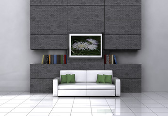 Design Couch in a modern room