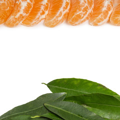frame from tangerine slices and leaves