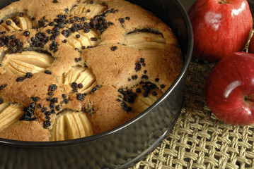 Apfelkuchen