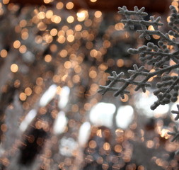 Pretty snowflake ornament and lights