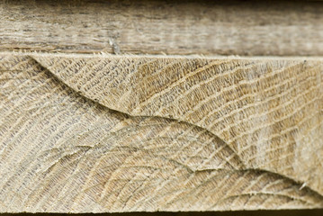 Holz
