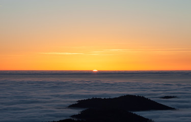 Obraz premium sunset over black forest fog