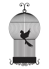 Papier Peint photo Lavable Oiseaux en cages Cage à oiseaux