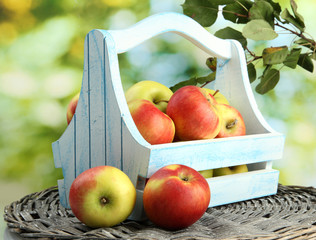juicy apples with leaves in wooden basket, on green background