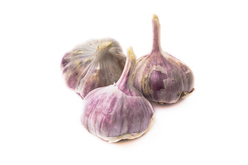 Garlic on the white background