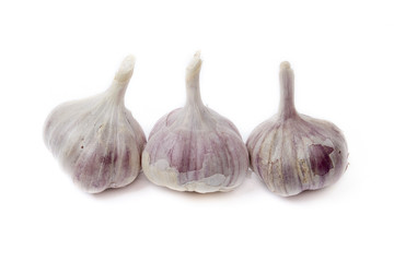 Garlic on the white background