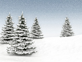 Winter background christmas tree and snow