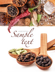 Spices on wooden table with spoons on white