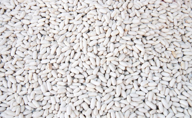 Organic Dried White Beans