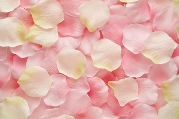 Soft pink and white rose petals