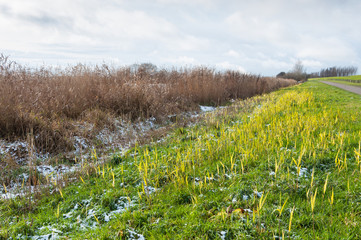Fototapeta premium Colorful rural landscape in winter