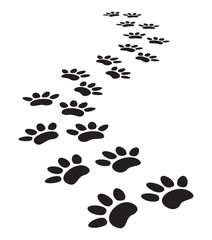 animal paw prints - 47517046