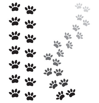 animal paw prints
