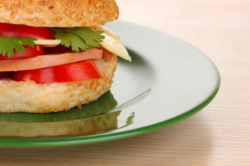 Appetizing sandwich on color plate isolated on white