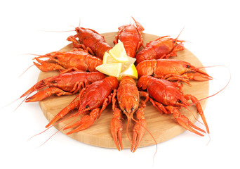 Tasty boiled crayfishes on chopping board isolated on white
