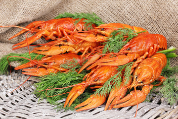 Tasty boiled crayfishes with fennel
