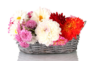 Fototapeta na wymiar daisies and dahilas in wicker basket isolated on white