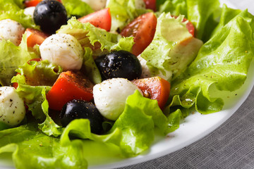 Fresh salad