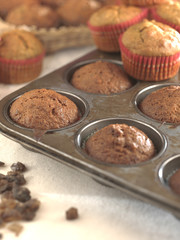 muffin