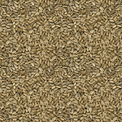 Sunflower Seeds Seamless Texture