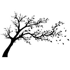 Tree silhouettes - 47524054