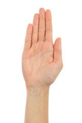 Woman palm hand in front