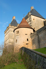 Fototapeta na wymiar Biron Zamek w Dordogne