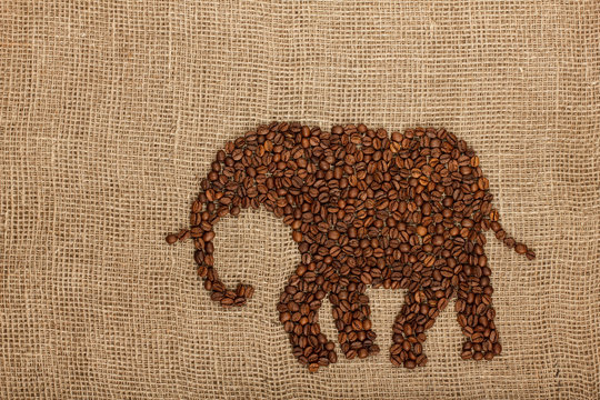Elephant made from coffee beans. On burlap pattern