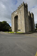 Fototapeta na wymiar Bunratty Castle (Ireland)
