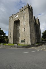 Fototapeta na wymiar Bunratty Castle (Ireland)
