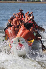 Les Maîtres de la Pagaie 2012