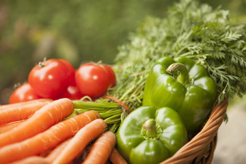 Basket full of vegetables