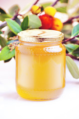 arbutus honey